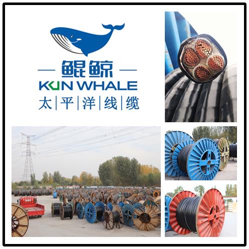 河南河南太平洋線(xiàn)纜國(guó)產(chǎn)電纜十大品牌排名