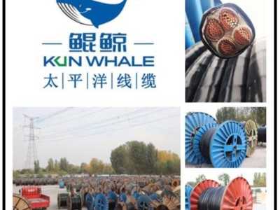 河南太平洋線纜國產(chǎn)電纜十大品牌排名