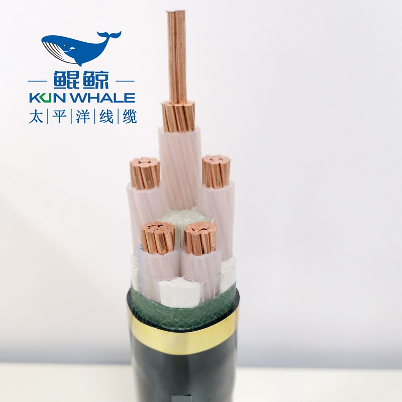 50平方低壓電力電纜，低壓電纜，電力電纜-河南太平洋線纜