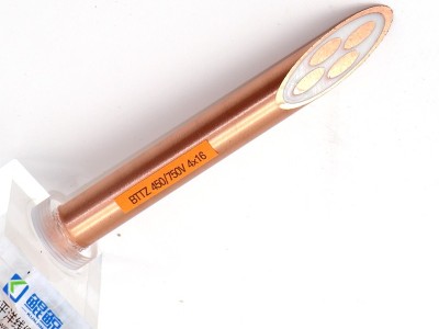 bttz電纜有五芯的嗎？